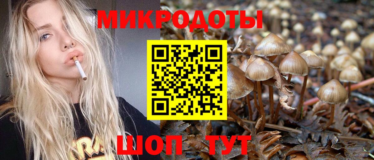 Галлюциногенные грибы Psilocybine cubensis  Псилоцибиновые грибы мицелий  Канаш  как найти закладки  Вход с VPN 